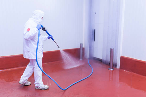 Best Building Exterior Washing  in Haskell, TX